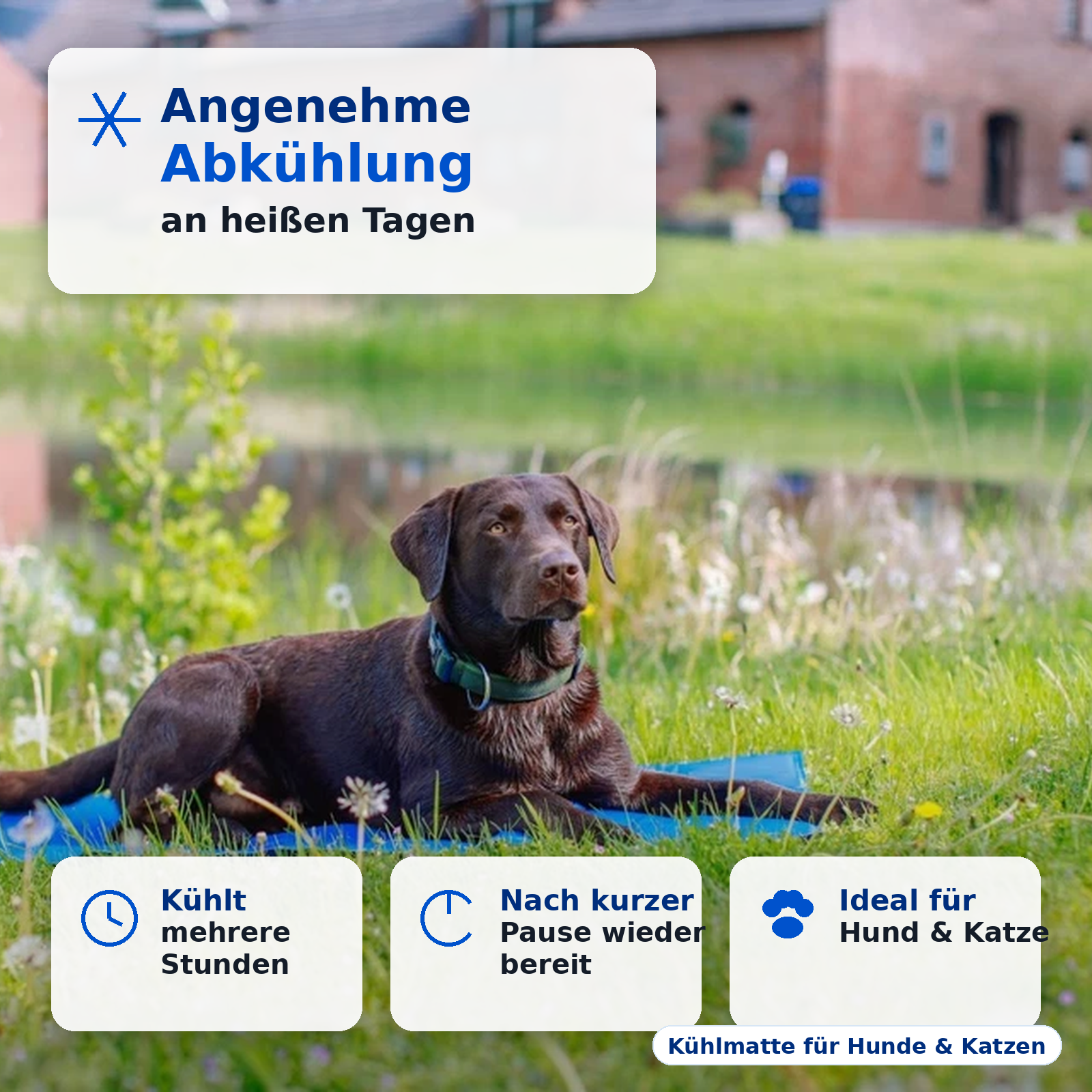 Kühlmatte für Hunde und Katzen 90 × 50 cm, selbstkühlend ohne Strom, wiederverwendbare Haustiermatte für Auto & Zuhause