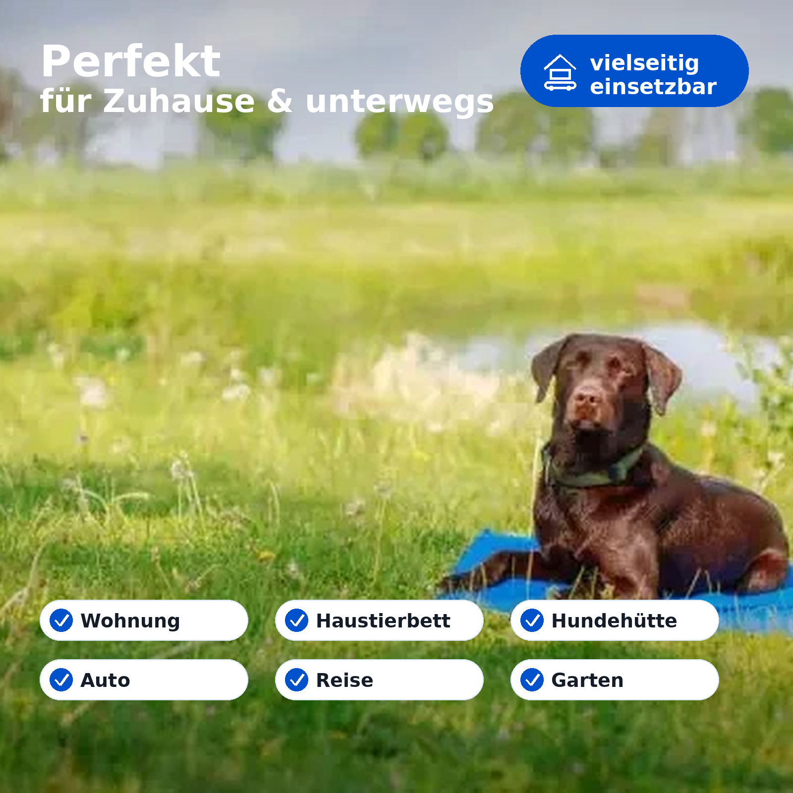 Kühlmatte für Hunde und Katzen 90 × 50 cm, selbstkühlend ohne Strom, wiederverwendbare Haustiermatte für Auto & Zuhause