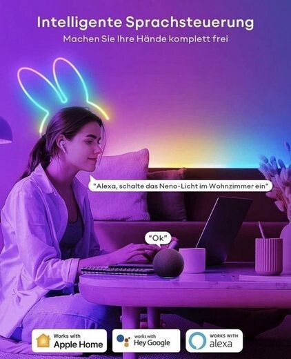 VOCOlinc NL2201 Neon Rope Light 3m RGBIC LED Licht Smart Home IP67 Alexa Google