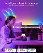 VOCOlinc NL2201 Neon Rope Light 3m RGBIC LED Licht Smart Home IP67 Alexa Google