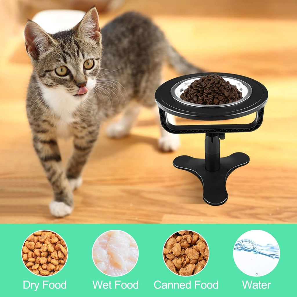 Katzennapf Erhöht 15° Edelstahl Abnehmbar Futter Napf Katze Kleine Hunde 17,5cm