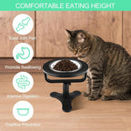 Erhöhter Katzennapf 15° Neigung, Edelstahl Futternapf 12 cm mit ABS Ständer, höhenverstellbar 15–17,5 cm, rutschfest, für Katzen & kleine Hunde