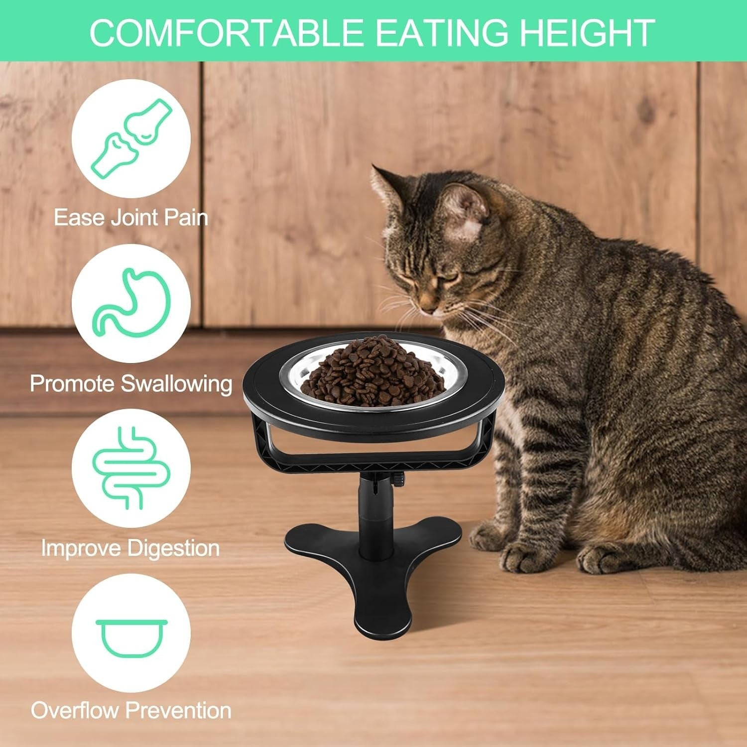 Katzennapf Erhöht 15° Edelstahl Abnehmbar Futter Napf Katze Kleine Hunde 17,5cm