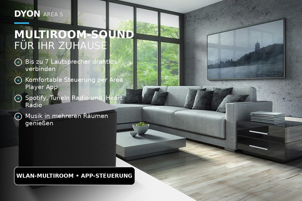 DYON Area S Multiroom Lautsprecher WLAN Bluetooth mit App Steuerung, 10 W RMS Akku Speaker für Spotify TuneIn Internetradio, kabellos für Innen und Außen