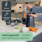 ADE Elektrische Multireibe KA1802 mit 4 Reibeeinsätzen 200 W Küchenreibe zum Reiben Raspeln Hobeln für Gemüse Käse Nüsse spülmaschinenfest Edelstahl